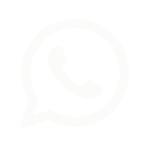 Icon Whatsapp